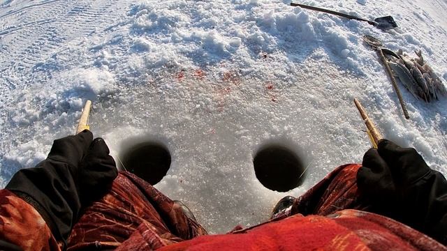 ЗЛЫЕ ЩУКИ РВУТ СНАСТИ! Подледная рыбалка на Амуре на щуку. смотреть онлайн