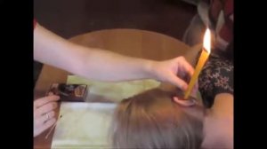 Фитоворонки ушные