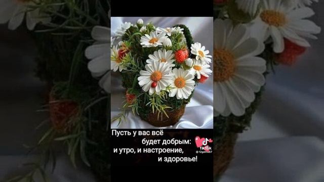 Всем доброго воскресного утра