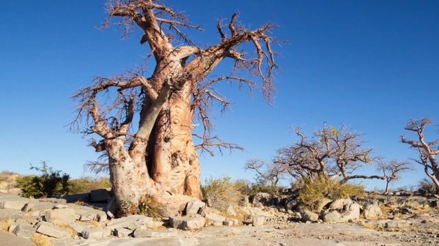 ЮАР. Провинция Лимпопо смотреть онлайн