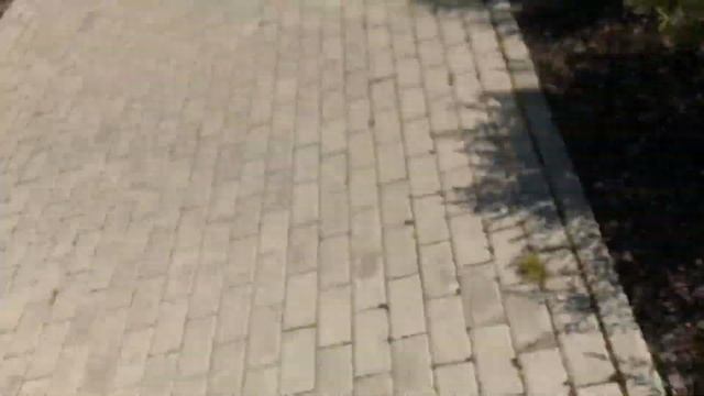 Таллин, порт, выставка ретро автомобилей