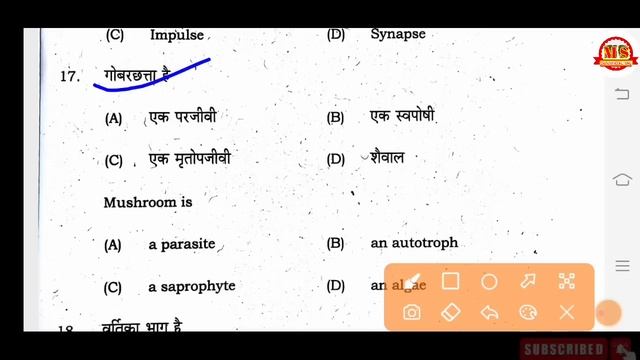 Sent up exam 17 november science answer key 2022 | class 10 Science original answer key sent up exa