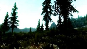 Skyrim avec KENB + dat grass