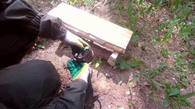 Дом в лесу - Одиночный поход, еда на огне \ Bushcraft - house in the woods, food on fire