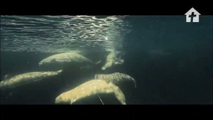 Фильм «Святой Архипелаг» о жизни  Соловецкого монастыря | Христианское обозрение №18, февраль 2023