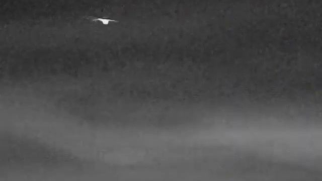 Barn Owl Hikmicro Gryphon GH35 смотреть онлайн