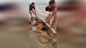 Уникальные кадры спасения животных. Люди помогают животным оказавшимся в беде #5