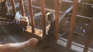 Деревня на воде. Люди живут на воде. Жизнь на воде. Озеро Тонле Сап Камбоджа. Плавучая деревня