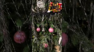 ОБЗОР ЕЛОЧНЫХ УКРАШЕНИЙ/ПОЕЗД НА ЕЛКУ