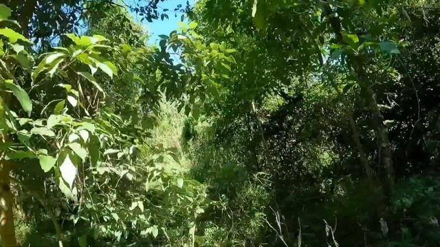 จากที่สูงสันเขาลงมาที่ราบทุ่งหญ้า13 смотреть онлайн