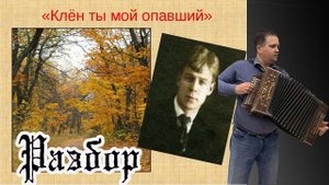 Клен, ты мой опавший // разбор на гармони и баяне