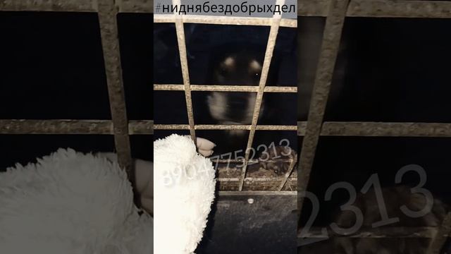 Просим помощи добрых людей ❤?