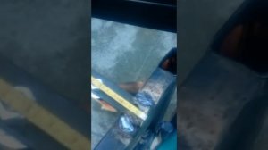 Самодельный доводчик для калитки