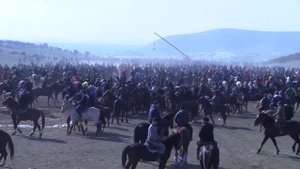 Охонгорон улок Шункор райс бобонинг катта купкариси 1-киси