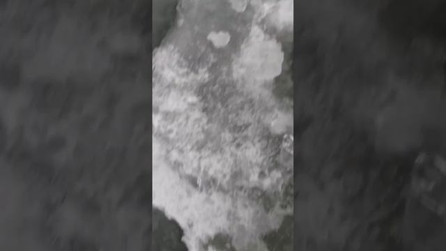 Судачек на бокоплав. поймал отпусти смотреть онлайн