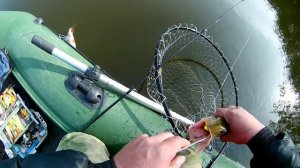 ЛОВЛЯ ЩУКИ НА РЕКЕ ПЫШМА #пышма #рыбалка196