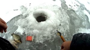 Рыбалка в Пензенской области  Ловля карася зимой