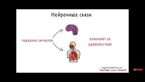 Основные гармоны счастья и прекрасного настроения! Как сделать себя счастливым! Польза, мотивация!?