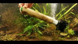 "БЛОНДИНКА" В АКВАРИУМЕ ОТВЕТЫ НА ВОПРОСЫ