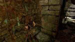 Гробницы и склепы Перуанские джунгли Shadow of the Tomb Raider