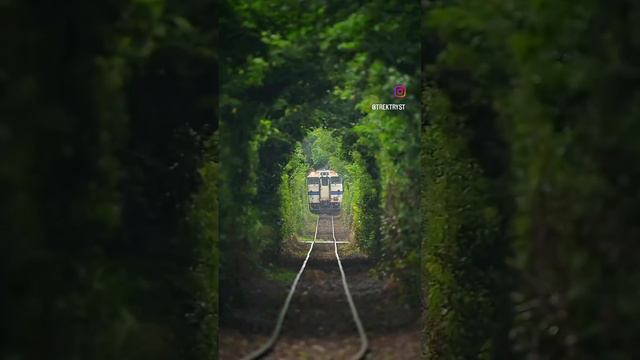 Train смотреть онлайн