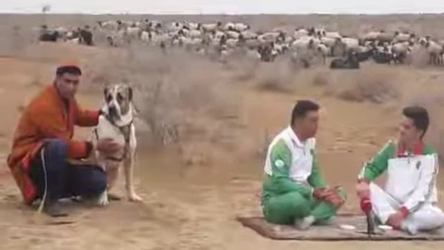 абсолютный чемпион туремении смотреть онлайн