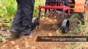 Обзор Мотоблок Кентавр 1081Д с картофелекопалкой в работе