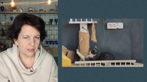 КАК СЫГРАТЬ КОШКУ. Наблюдение за животными