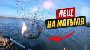 В поисках ЛЕЩА на просторах реки Обь