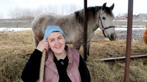 Покупка новой коровы.Выбор, перевозка, погрузка-выгрузка и т.д
