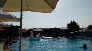 Надувной лебедь в бассейне.  Inflatable swan swims in the pool.