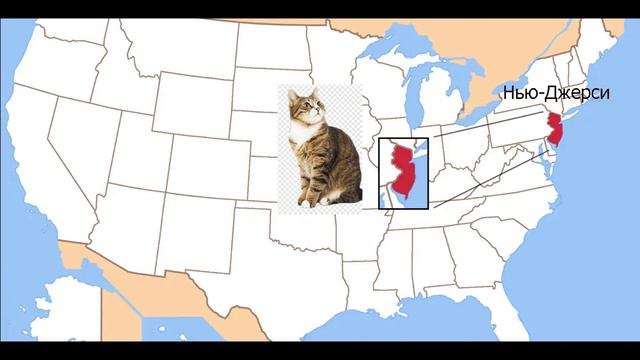 РАЗОБЛАЧЕНИЕ КОШКО-ДЕВОЧЕК #разоблачение#кошко-девочки#ударафед смотреть онлайн