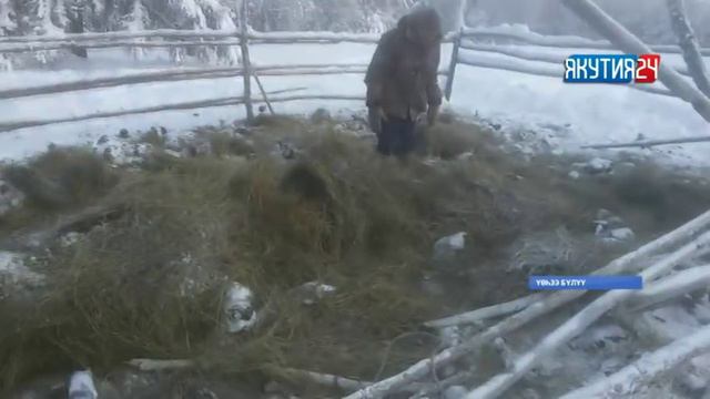 Саха сирэ информационнай биэрии. Олунньу 26 күнэ 20:30 ч