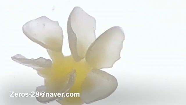 Zeros manual press 1-1 смотреть онлайн