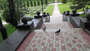 Кисловодск. 2015 год. Парк.