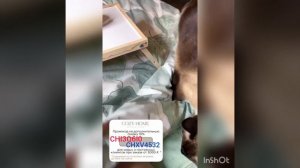 Качественное постельное белье за 1799 рублей