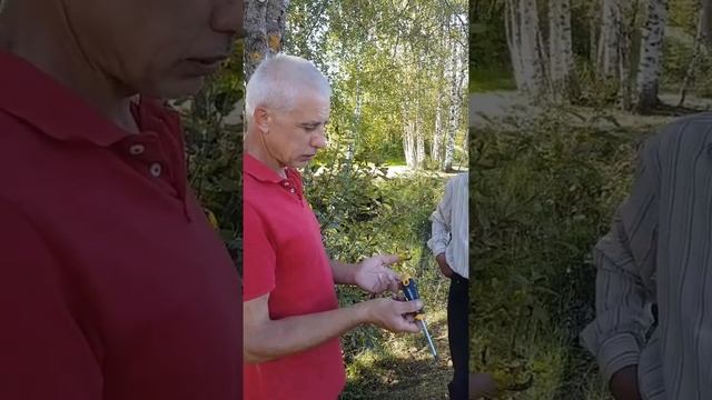 Как выглядит хорошая отвертка смотреть онлайн