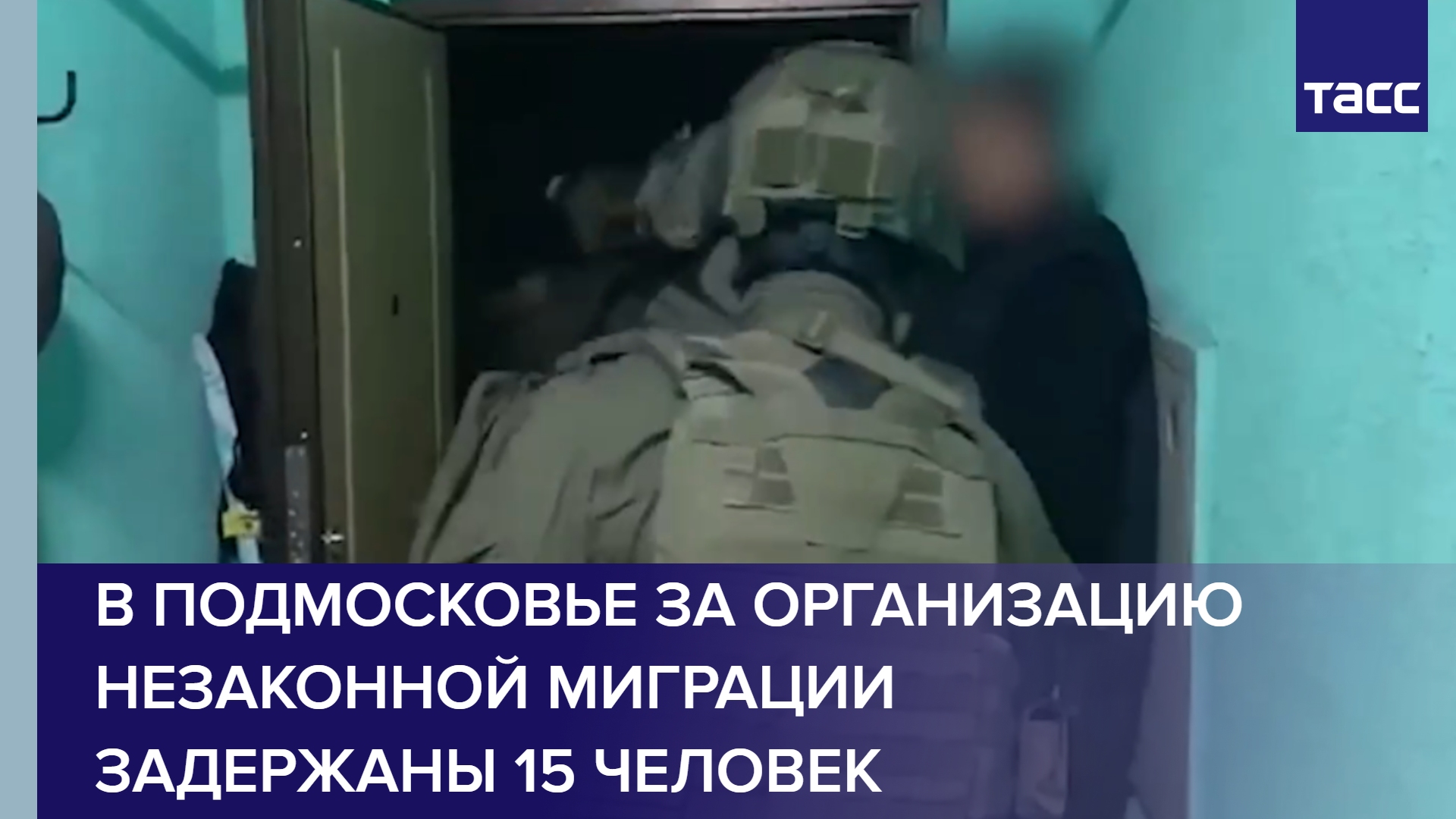 В Подмосковье за организацию незаконной миграции задержаны 15 человек