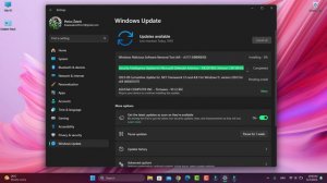 2023-09 Cumulative Update for .NET Framework 3.5 and 4.8.1 for Windows 11, version 22H2 for x64 (KB