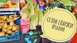 Монтекатини-Терме Италия | Рынок в Montecatini-Terme | #Авиамания