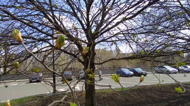 55. Донецк весенний. Лоскутная сумка готова. Пэчворк. Квилтинг. смотреть онлайн