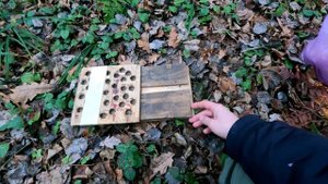 Новый улов. зимняя охота капканами