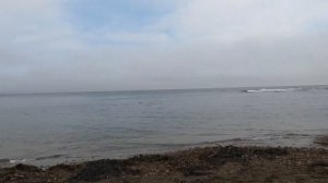 Отдых на "Диком пляже" в Приморье. 25.07.2023