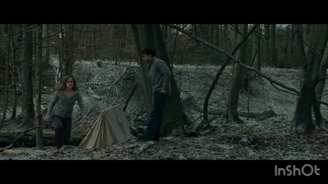 Самые милые моменты Ромиона Рон и Гермиона из всего Гарри Поттера (По мнению автора) #Ромиона смотреть онлайн