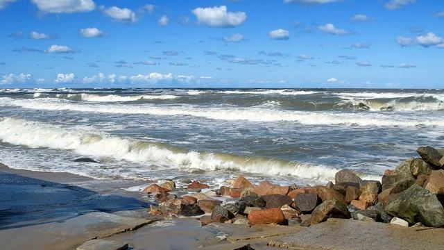 Обзор книг смотреть онлайн