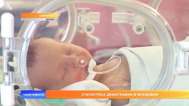 Статистика демографии в Мордовии смотреть онлайн