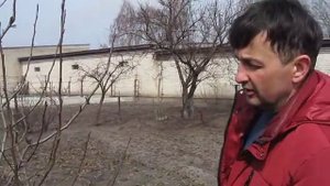 Обрезка груши 4 - 5 летнего  возраста, часть 7