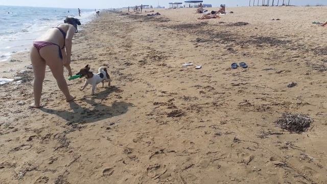 СЧАСТЛИВЦЕВО АРАБАТСКАЯ СТРЕЛКА👍⛱🌊 СЕНТЯБРЬ 2020
