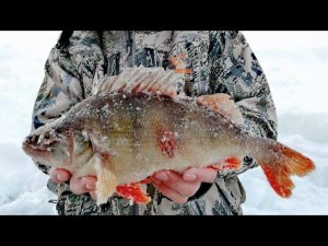 Ловля КРУПНОГО ОКУНЯ! Огромные мормышки, огромные рыбы! Рыбалка в лесном ручье