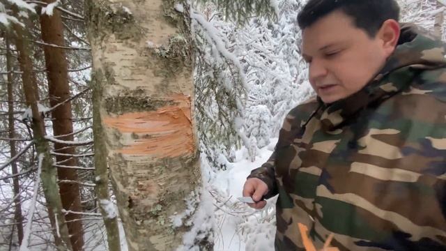 Заблудился. Что делать? Выжить в лесу. Костер. Часть 1. смотреть онлайн